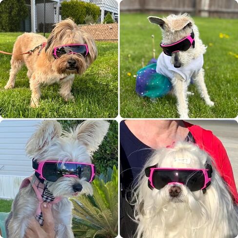 Dog Goggles Sunglasses Small to Medium Breed, Anti-Fog UV400 Lens Puppy Sunglasses, Adjustable Lightweight Doggie Goggles for UV, Wind, Snow, Dust Protection, Blue in Kuwait