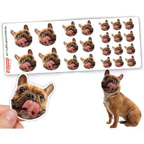 Personalized Face Stickers - Pet Portrait | Sheet With 22 Customized Picture Decals | Waterproof | Funny Animal Photo in Kuwait