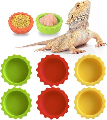 Meow&woof 6 PCS Crested Gecko Food and Water Feeding Cups, Reptile Food Dish, Colorful Water Bowl for Bearded Dragon Tank Terrarium Accessories Supplies for Tortoise, Crab and Small Pet in Kuwait