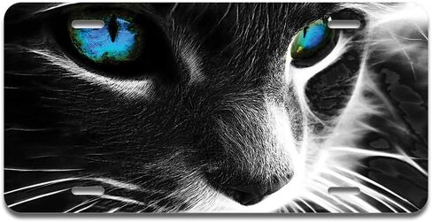 SignMission Cat Eyes Aluminum License Plate | License Plate 12" X 6" Fits Any Car, Truck, SUV, RV, or Trailer | Made in The USA in Saudi Arabia