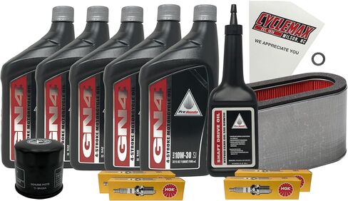 Standard 10W-30 Full Service Kit compatible with 2003-2018 Honda ST 1300 ST1300 with Spark Plugs and Shaft Drive Oil in Saudi Arabia