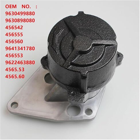 Brakevacuump ， متوافق مع Peugeot 9630499880 9630898080 456542 45655 456560 9641341780 456553 9622463880 4565.53 4565.605 in Saudi Arabia