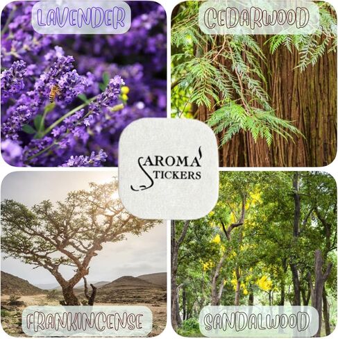 Aroma choysers® Original Relend Edition - 100 ٪ ملصقات القناع الطبيعية للزيت العطري لقناع الوجه والوسادة (12 ملصق/كمبيوتر) - رائحة/استرخاء (حزمة من 1) in Kuwait