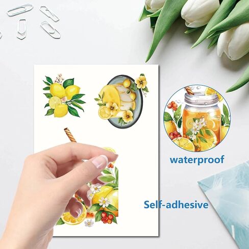 Craspire 8 Sheets 8 Styles Book Window Stickers Boho Books Window Clings Probroof Proforming Window Window Peel and Stick Glass Wall Decoration for Home Bedroom Room Library 5.7x7.87 in Kuwait