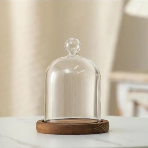12 * 16cm Big Size Antique Base Different Top Glass Dome Vase Home Decoration Transparent Candle Cover Wedding Friend Favor Gift (1set Ball Dome Base) in Saudi Arabia