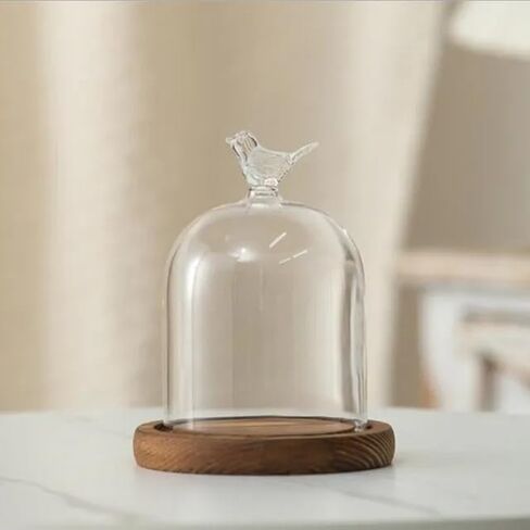 12 * 16cm Big Size Antique Base Different Top Glass Dome Vase Home Decoration Transparent Candle Cover Wedding Friend Favor Gift (1set Ball Dome Base) in Saudi Arabia