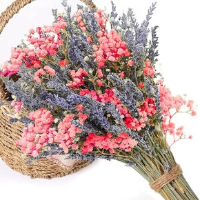 حزم زهور اللافندر المجففة وزهور أنفاس الطفل، 2 باقة من الزهور المجففة للمزهرية، جيبسوفيلا طبيعية للمنزل، الزفاف، التصوير الفوتوغرافي، تنسيق الزهور، DIY in Kuwait