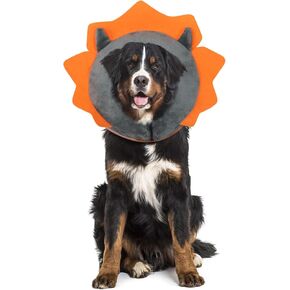 IEUUMLER طوق الكلب القابل للنفخ، مخروط الدونات الواقي، طوق ناعم قابل للتعديل للكلاب والقطط بعد الجراحة يمنع من العض والخدش EU002 - أسد بني S in Kuwait