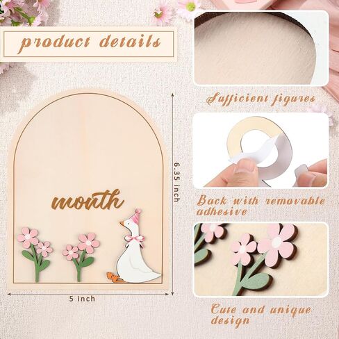 Baby Monthly Milestone Cards with Coquette Bow Wooden Monthly Milestone Discs Wooden Monthly Milestone Discs to Document Your Baby's Growth Newborn Gift for Girl and Boy in Saudi Arabia