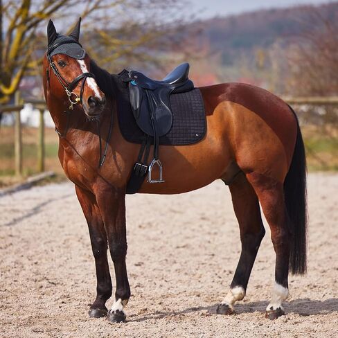 HORZE Horse Ear Net for Noise Reduction and Insect Protection with Cooling Mesh - Peach Amber Pink - Horse in Saudi Arabia