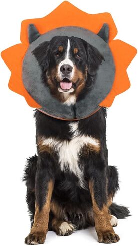 IEUUMLER طوق الكلب القابل للنفخ، مخروط الدونات الواقي، طوق ناعم قابل للتعديل للكلاب والقطط بعد الجراحة يمنع من العض والخدش EU002 - أسد بني S in Kuwait