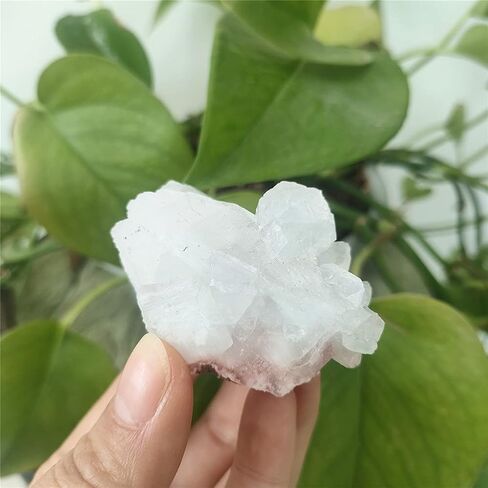 Health & Household 3pcs Natural Raw Apophyllite Stones Rough Mineral Crystal Specimen (Size : 25-35mm) in Saudi Arabia