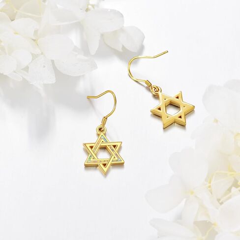 URONE Dream Catcher Earrings 925 Sterling Silver Dreamcatcher Dangle Earrings Dream Catcher Jewelry Gifts for Women in Kuwait