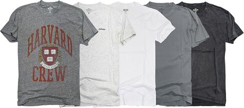 Hollister Men's Men's Roamed Cotton Cotton Graphic/Plain T-Shirt Hom-R in Kuwait