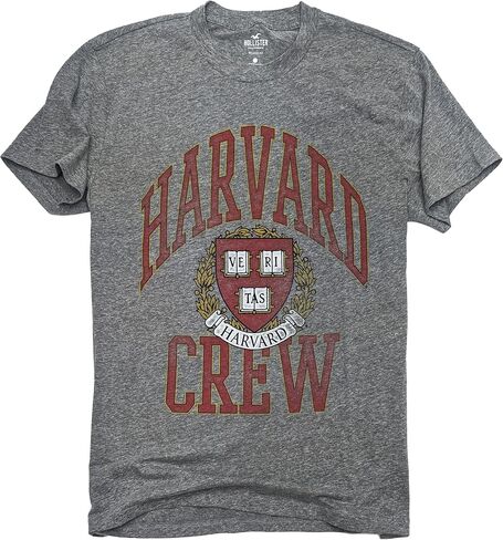 Hollister Men's Men's Roamed Cotton Cotton Graphic/Plain T-Shirt Hom-R in Kuwait