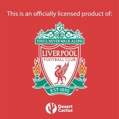 صحراء الصبار ليفربول FC Keychain Soccer Football Car Keys (PVC B) in Kuwait