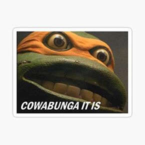 Cowabunga IT is Sticker - Sticker Graphic - Auto, Wall, Laptop, Cell, Truck Sticker for Windows, Cars, Trucks in Kuwait