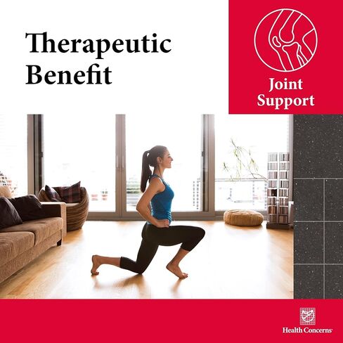 المخاوف الصحية - التنقل 2 - ملحق دعم الصحة والدورة الدموية المشتركة - 270 كبسولة in Kuwait