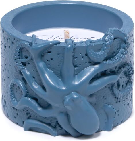 Hodao Oceanic Serenity Handcrafted Aromatherapy Box with Candle & Decor – Beach Rock Sculpture with Sea Turtle, Seashells, for Home, Bathroom, Yoga Room Decor (Blue-Seahorse) in Saudi Arabia