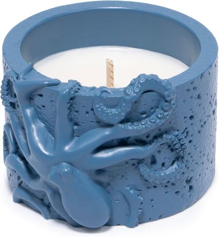Hodao Oceanic Serenity Handcrafted Aromatherapy Box with Candle & Decor – Beach Rock Sculpture with Sea Turtle, Seashells, for Home, Bathroom, Yoga Room Decor (Blue-Seahorse) in Saudi Arabia