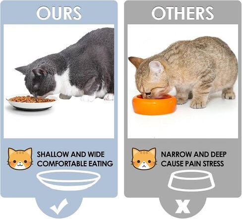 Ceramic Cat Food Bowl, Cat Food Bowls for Indoor Cats, Whisker Fatigue Cat Bowl, Shallow Cat Dish for Food, with Anti-Slip Mats Cat Wet Food Bowl Set Shallow Cat Plate, for Kitten, Small Dogs in Saudi Arabia