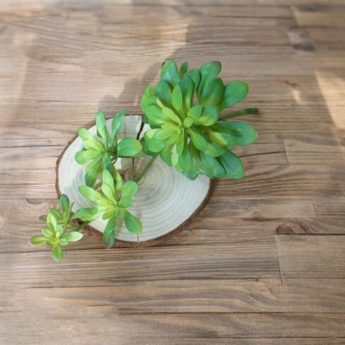 2pcs Artificial Succulent Plants, Realistic Large Fake Succulents, Artificial Hanging Ornaments for Decor in Saudi Arabia