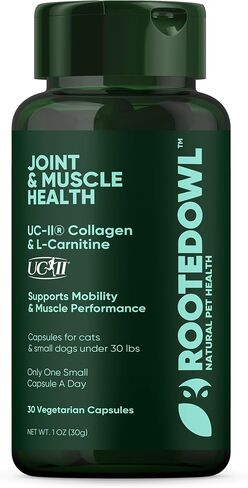 Urinary Support - Echinacea and Cranberry Supplement for Dogs - Dog UTI Prevention - 60/ct in Saudi Arabia