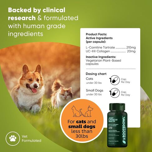 Urinary Support - Echinacea and Cranberry Supplement for Dogs - Dog UTI Prevention - 60/ct in Saudi Arabia