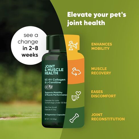Urinary Support - Echinacea and Cranberry Supplement for Dogs - Dog UTI Prevention - 60/ct in Saudi Arabia