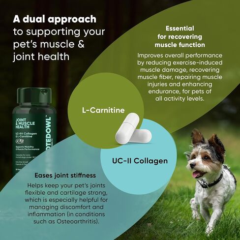 Urinary Support - Echinacea and Cranberry Supplement for Dogs - Dog UTI Prevention - 60/ct in Saudi Arabia