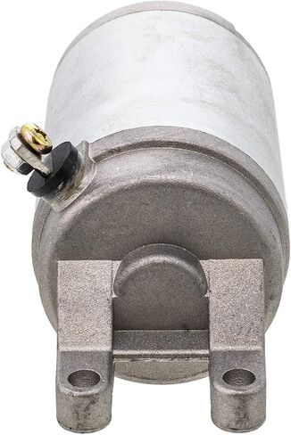 NICHE Starter Motor Assembly 31100-14F01 31100-06H01 for Suzuki Burgman 400 AN400 400Z AN400ZA in Saudi Arabia