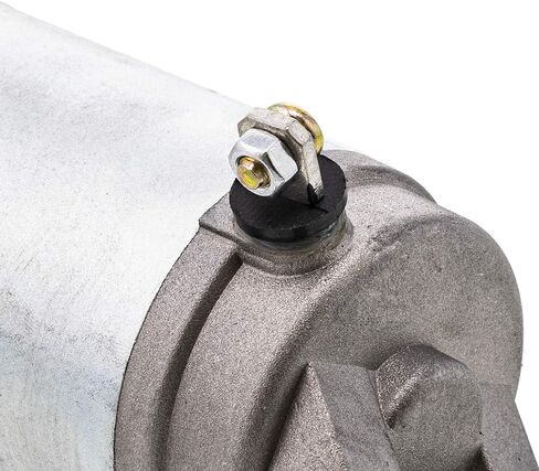 NICHE Starter Motor Assembly 31100-14F01 31100-06H01 for Suzuki Burgman 400 AN400 400Z AN400ZA in Saudi Arabia