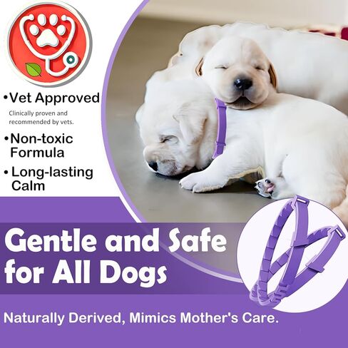 مجموعة من 4 أطواق مهدئة للقطط - طوق فرمون قابل للتعديل لتخفيف القلق والتوتر، مثالي للقطط، يدوم 30 يومًا، رائع للسفر والأطباء البيطريين ومنازل القطط المتعددة in Kuwait