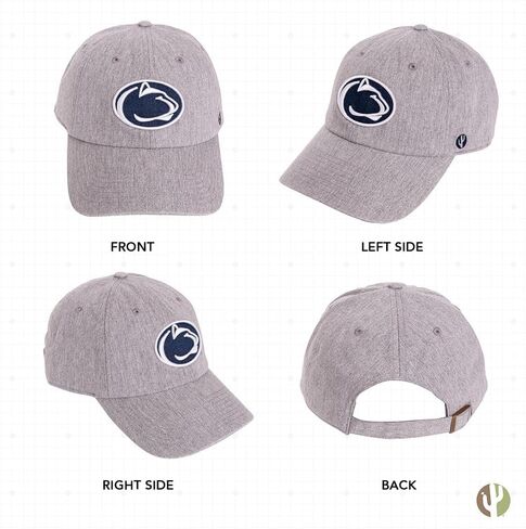 قبعة بيسبول لجامعة ولاية بنسلفانيا من Desert Cactus Penn Pennsylvania PSU Nittany Lions قبعات مطرزة ذات حواف قابلة للتعديل بحزام قماش للبالغين (نمط B1) in Saudi Arabia