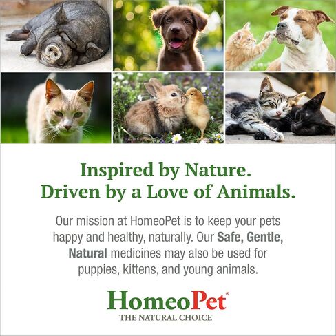 HomeoPet 2 Pack of Feline Nose Relief 15 Milliliters Each Homeopathic Remedy for Cats Congestion Runny Nose Sneezing and Sinus Infection in Saudi Arabia