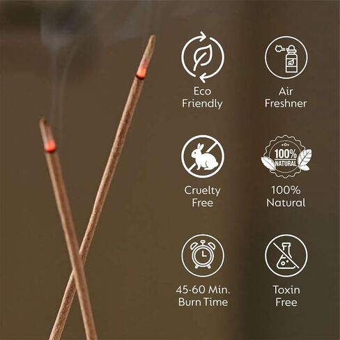 Incense Sticks Gift Pack – 6 Fragrances x 20 Sticks Each, Hand Rolled Insents with Incense Holder – Coconut Canela Fruit Passion ICY Mint Ocean Drive Canela Clove Tangy Lemon in Saudi Arabia