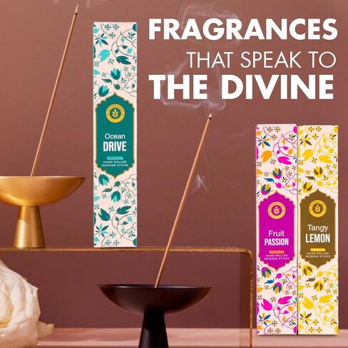 Incense Sticks Gift Pack – 6 Fragrances x 20 Sticks Each, Hand Rolled Insents with Incense Holder – Coconut Canela Fruit Passion ICY Mint Ocean Drive Canela Clove Tangy Lemon in Saudi Arabia