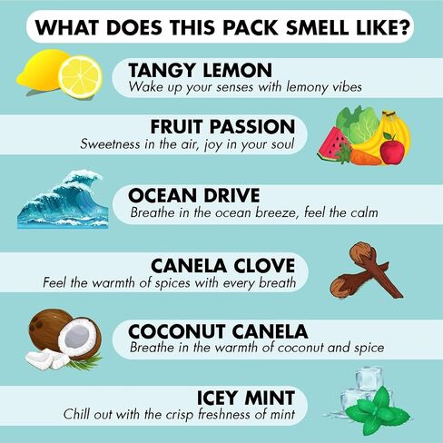 Incense Sticks Gift Pack – 6 Fragrances x 20 Sticks Each, Hand Rolled Insents with Incense Holder – Coconut Canela Fruit Passion ICY Mint Ocean Drive Canela Clove Tangy Lemon in Saudi Arabia