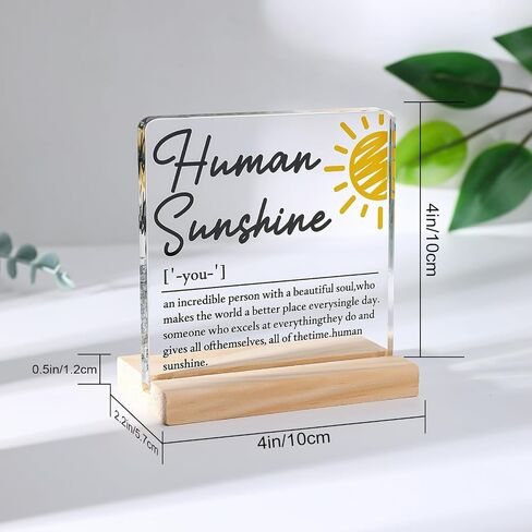 Appreciation Gifts for Coworker - Motivational Clear Desk Decor - Thank You Gifts for Women Men - Inspirational Quotes Office Desk Sign (4 x 4 Inches) (SUNSHINE) in Saudi Arabia