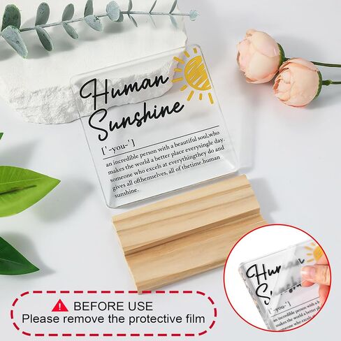 Appreciation Gifts for Coworker - Motivational Clear Desk Decor - Thank You Gifts for Women Men - Inspirational Quotes Office Desk Sign (4 x 4 Inches) (SUNSHINE) in Saudi Arabia