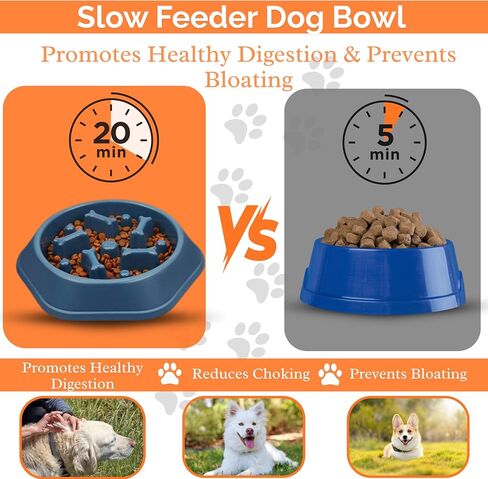 Slow Feeder Dog Bowl – Interactive Dog Food Dish for Breeds, Slow Feeder Bowl Designed to Slow Eating, Promotes Healthy Digestion and Prevents Bloat, Ideal Slow Feeder for Cats and Dogs (Sky Blue) in Saudi Arabia