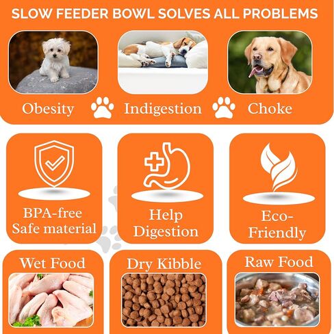 Slow Feeder Dog Bowl – Interactive Dog Food Dish for Breeds, Slow Feeder Bowl Designed to Slow Eating, Promotes Healthy Digestion and Prevents Bloat, Ideal Slow Feeder for Cats and Dogs (Sky Blue) in Saudi Arabia