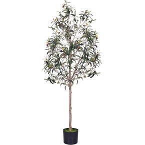 شجرة القيقب الاصطناعية 4 أقدام ، فوكس جرين يابانية الأسير بالمياتوم للنباتات الداخلية ، المزيفة بوعاء الخريف مع أوراق الحرير لديكور غرفة المعيشة المكتب المنزلي in Kuwait