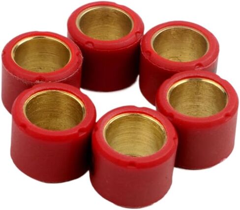 Scooter Roller Variator Set 16x13mm 4g 4.5g 5.5g 6g 7g متوافق مع Agility 50 dj s Filly People Super 8 Vitality Yager GT 50CC 4T (16x13mm 6g) in Saudi Arabia