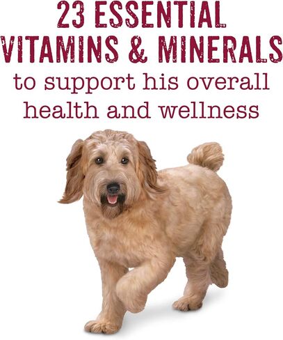 Purina Beneful Wet Dog Food Variety Pack, Chopped Blends - (12) 10 oz. Tubs in Saudi Arabia