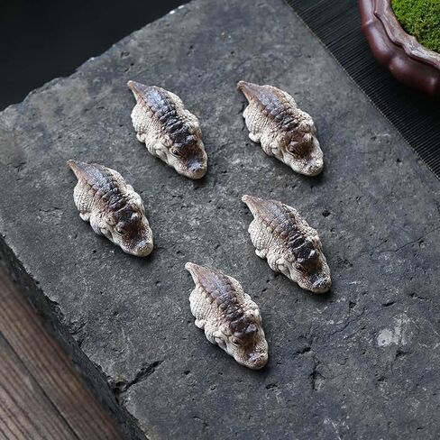 تمثال Zvzkc Tea Pet Aligator تمويلًا ، تمثالًا لطيفًا تمثالًا تمثالًا تمثالًا صغيرًا ، حيوانًا أليفة مينيًا مينيًا ، تمساح التمساح ، تمثال صغير ، تمثال تمساح يدويًا لزينة الحديقة المنزلية (أ) in Kuwait