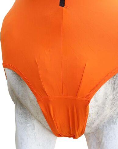 CHALLENGER L Horse Comfort Stretch Neck Hood Turquoise 521MW04TR in Saudi Arabia