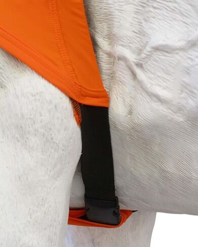 CHALLENGER L Horse Comfort Stretch Neck Hood Turquoise 521MW04TR in Saudi Arabia