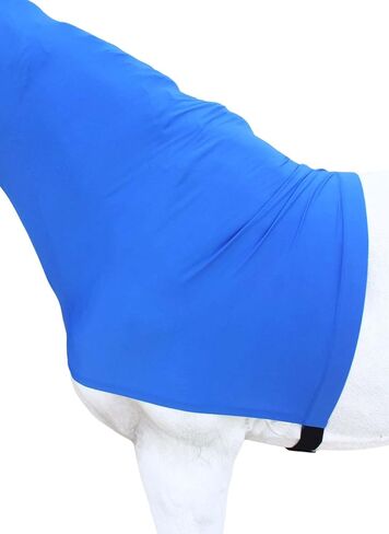 CHALLENGER L Horse Comfort Stretch Neck Hood Turquoise 521MW04TR in Saudi Arabia