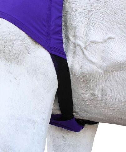 CHALLENGER L Horse Comfort Stretch Neck Hood Turquoise 521MW04TR in Saudi Arabia